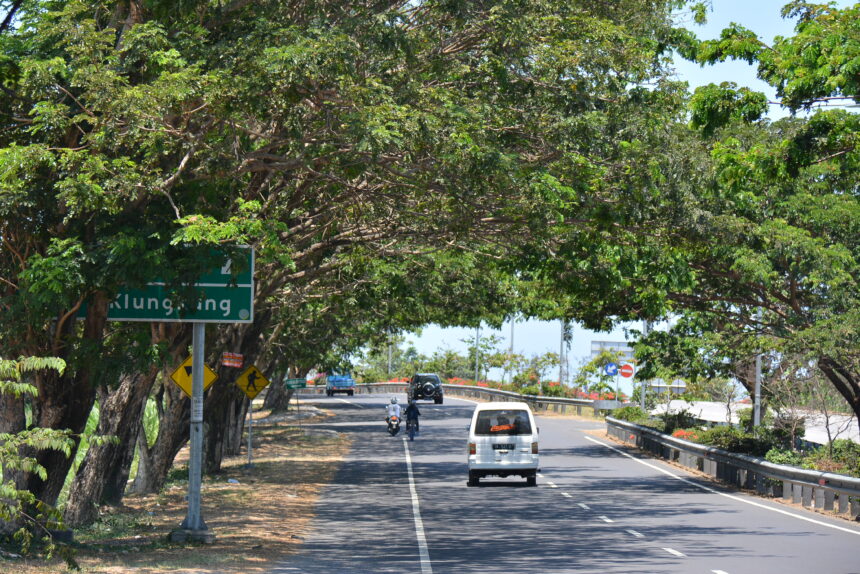 バリ島の道路２