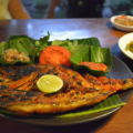 イカンバカールの魚一例